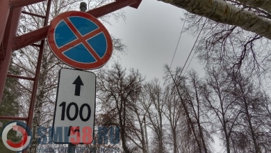 В Пензе из-за гонки «Лыжня России» ограничат парковку и скорость езды