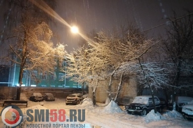 Пензенские метеорологи рассказали о погоде на 2 января