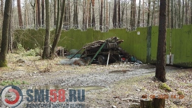 В Пензенской области в лесу незаконно поставили забор