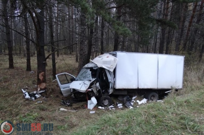 В Пензенской области «ГАЗель» под управлением подростка влетела в дерево, пассажир умер