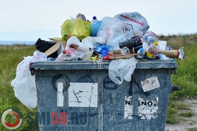 В частном секторе Пензы хотят установить мусорные контейнеры