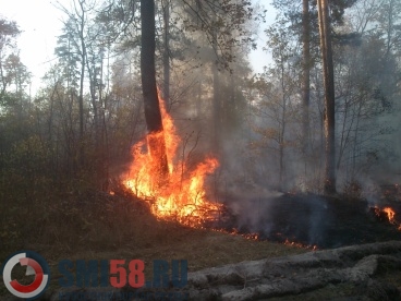 Количество лесных пожаров в Пензенской области выросло до пяти