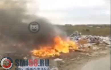 Соцсети: На свалке в Чемодановке произошел пожар