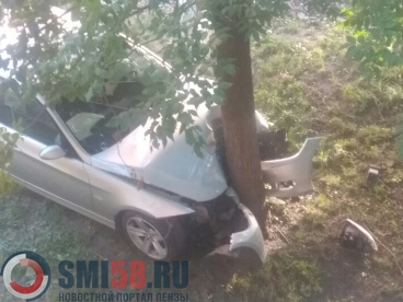 Соцсети: пьяная девушка врезалась в дерево на улице Луначарского в Пензе
