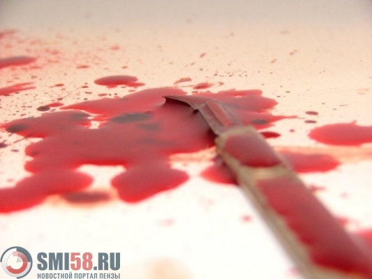 В Никольске застолье закончилось смертью отчима и пасынка В Никольске застолье закончилось смертью отчима и пасынка