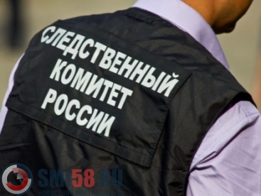 В Рязанской области расследуют уголовное дело об убийстве пензенца