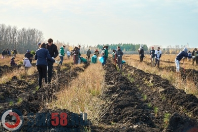 В Пензенской области высадили более 9 000 деревьев