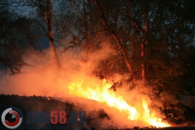 В Лунинском районе второй раз за неделю загорелся лес