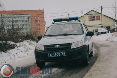 Пензенские росгвардейцы остановили машину с семью канистрами ворованного бензина