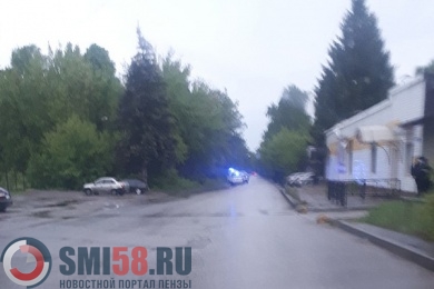 Пензенцы сообщили об убитой 14-летней девочке в районе Тепличного