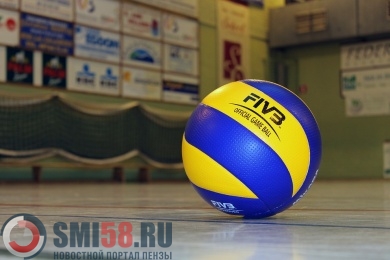 В Пензенской области будут развивать волейбол и баскетбол