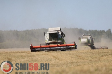 Аграрии Пензенской области намолотили 1,9 млн тонн зерна