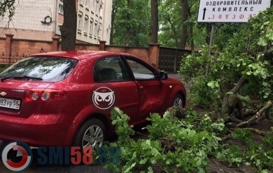 Возле областной больницы на машину рухнуло дерево 