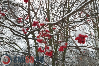 25 января в Пензенской области выпадет мокрый снег