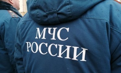 На улице Германа Титова в Пензе загорелись четыре микроавтобуса