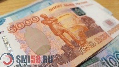 В бюджете Пензенской области на субсидии НКО перенаправят 2,7 млн рублей