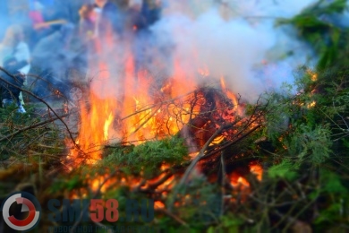 В Бековском районе потушили лесной пожар