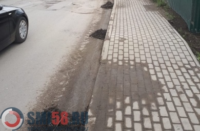 В пензенском управлении ЖКХ и ГЗН назвали причину загрязненности тротуаров из плитки
