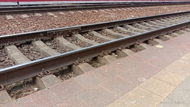 В Пензенской области за год на железной дороге погибло семь пешеходов
