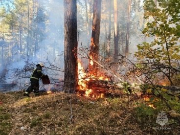 Жителям Пензенский области напоминают об особом противопожарном режиме