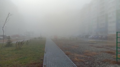 В четверг Пензенскую область накроет туман