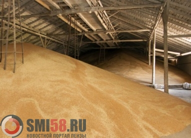 На Лопатинском заводе растительных масел строят зернохранилище за 200 млн рублей