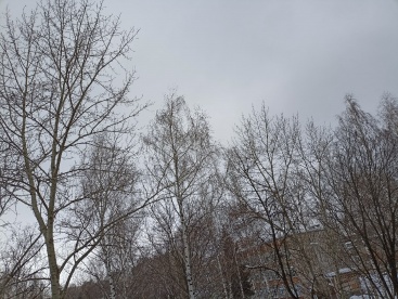 Аномальные погодные условия ожидаются в Пензенской области 