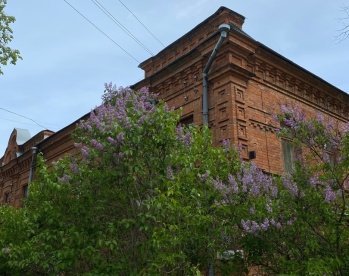 В Пенза пройдет выставка в честь Спрыгина