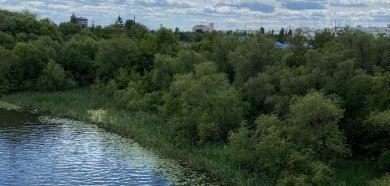 В Пензенской области планируют расчистить три реки в ближайшие три года В 2025-2027 годах