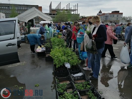 Садовод пенза московская. Садовод Пенза. Магазин Садовод Пенза. Пенза Московская улица 96 Садовод. Магазин Садовод Пенза ул Московская.