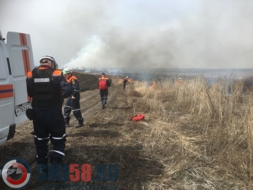 В Пензенской области потушили 33 лесных пожара