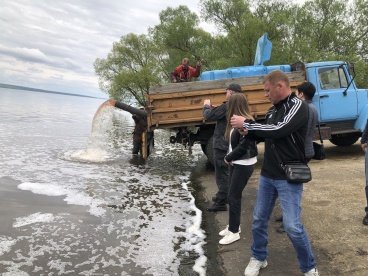 В Сурское водохранилище выпустили 6,5 тыс. штук молоди толстолобика