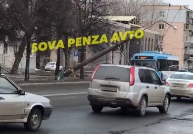 К ситуации с упавшим столбом на улице Суворова в Пензе подключилась прокуратура