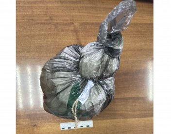 В Бессоновке у подозреваемого в краже обнаружили 2 кг марихуаны