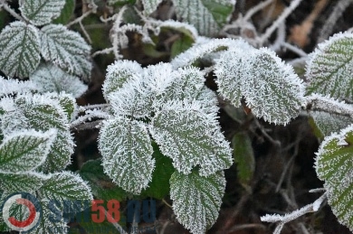 В Пензенской области во вторник сохранятся заморозки