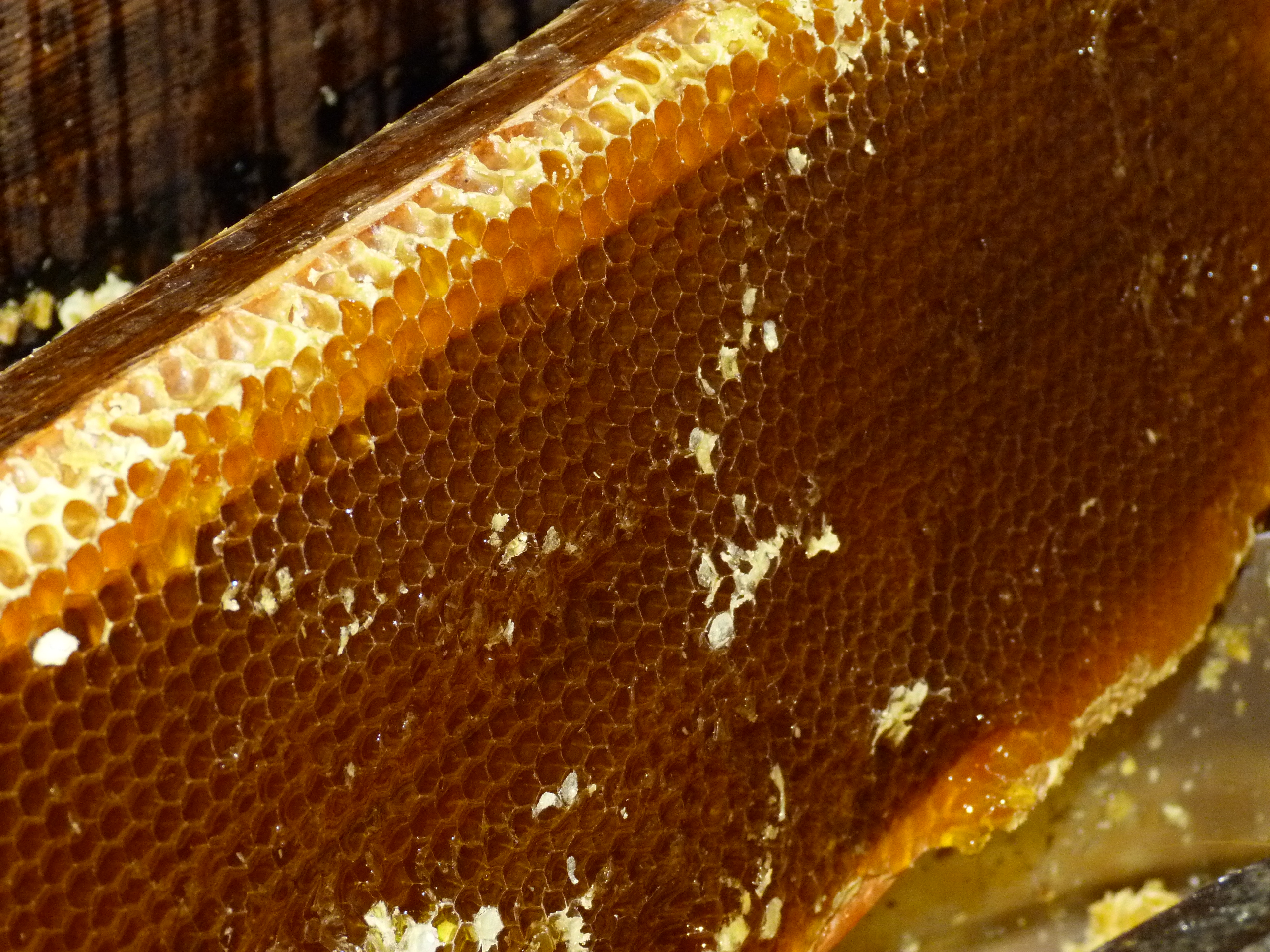 Сколько делать мед. Пчелиный мёд. Башкирский мед соты. Пчелы делают мед. Башкирский мед с сотами внутри.
