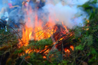 В Пензенской области потушили одиннадцатый лесной пожар