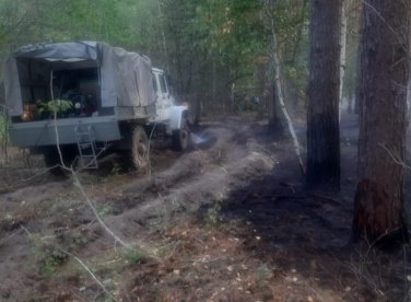 В Пензенской области площадь лесных пожаров приблизилась к 150 га