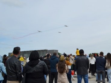 Пензенский губернатор поблагодарил пилотов ДОСААФ за авиашоу в День Победы