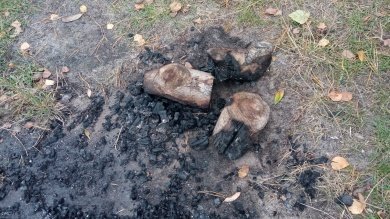 В Пензенском районе загорелся лес