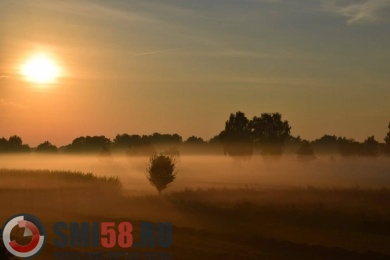 В субботу на Пензенскую область опустится густой туман