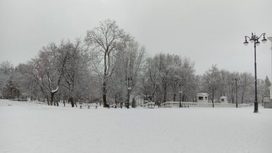 В пятницу в Пензенской области продолжится мокрый снег