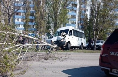 В пензенском Арбеково маршрутка попала в ДТП и повалила дерево