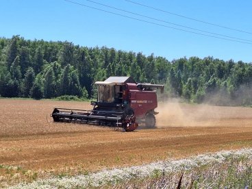 Урожай в Пензенской области: собрано 188 тыс. тонн зерновых и зернобобовых