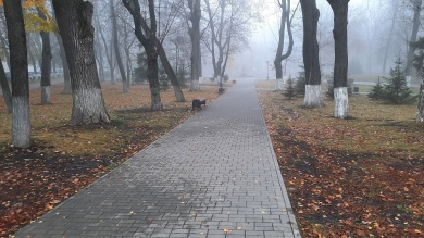 В среду Пензенскую область накроет туман