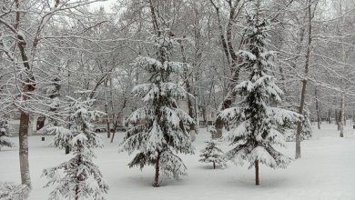 В субботу в Пензенской области продолжится мокрый снег