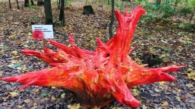 В Пензенской области установится чрезвычайная пожарная опасность леса