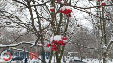 Потепление до двух градусов ожидается в Пензенской области 15 марта