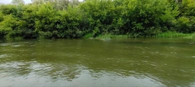 В Наровчатском районе на реке погиб 19-летний парень