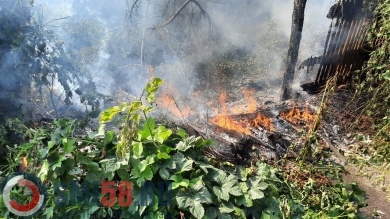 В Пензенской области число лесных пожаров приблизилось к 30